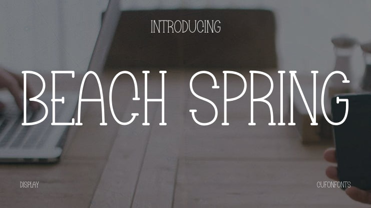 Beach Spring Font