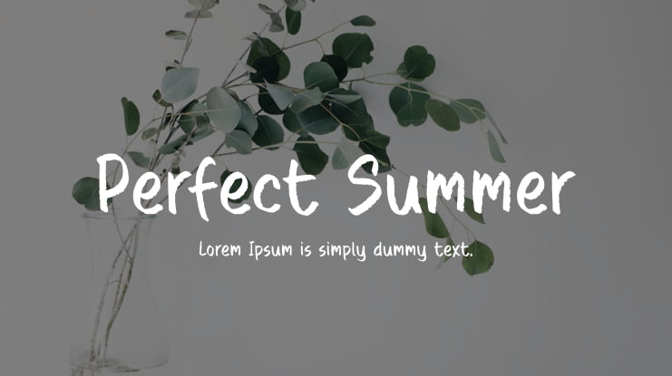 Perfect Summer Font