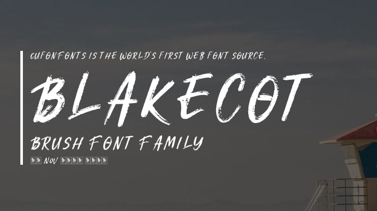 Blakecot Brush Font