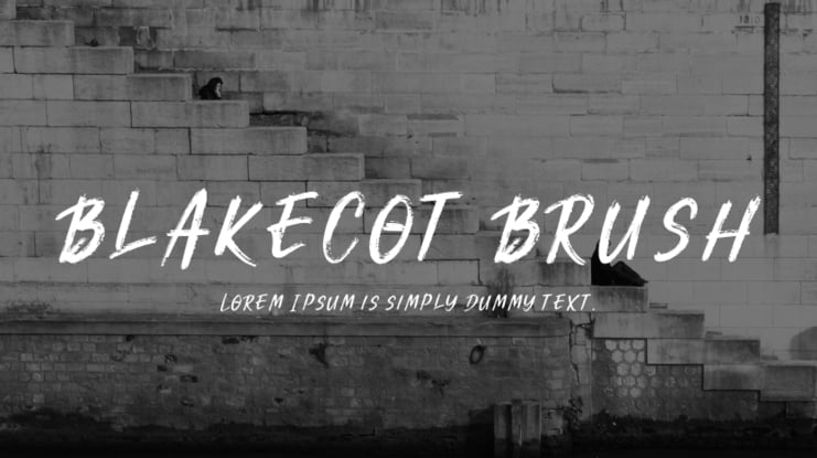 Blakecot Brush Font