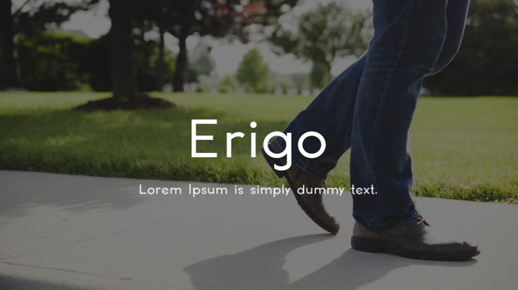 Erigo Font Family : Download Free for Desktop & Webfont