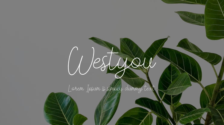 Westyou Font
