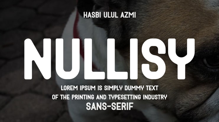 Nullisy Font Family