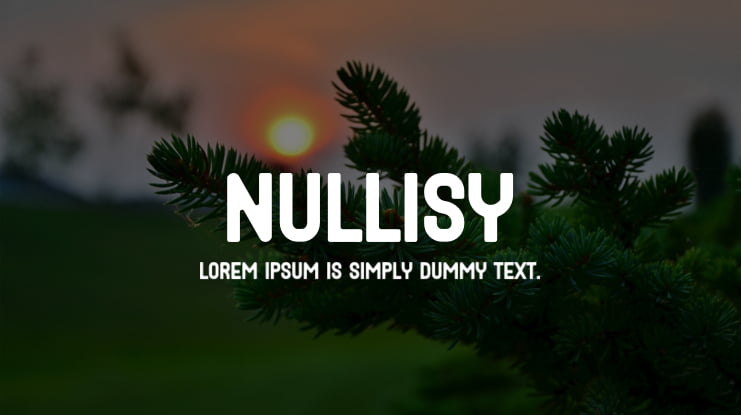 Nullisy Font Family