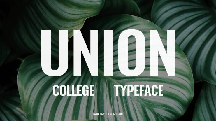 Union College 2 Font Family