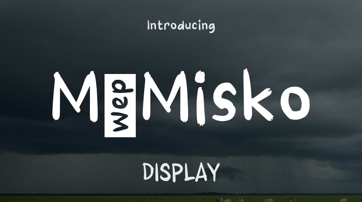 M Misko Font