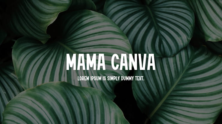 Mama Canva Font