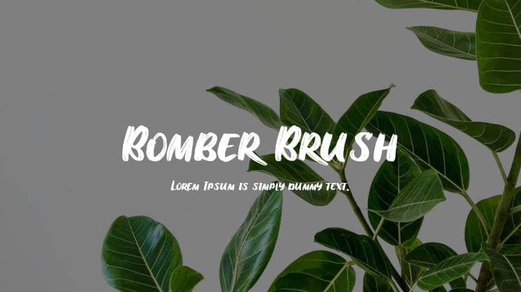 Bomber Brush Font