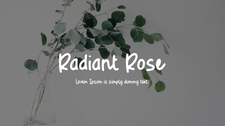 Radiant Rose Font