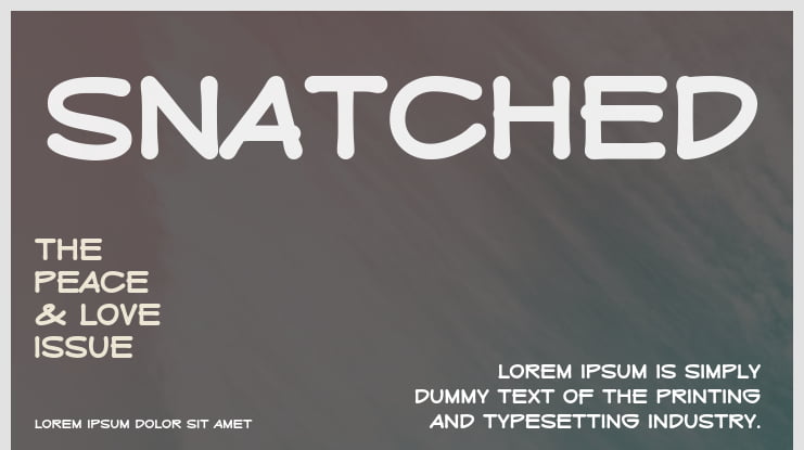 Snatched Font