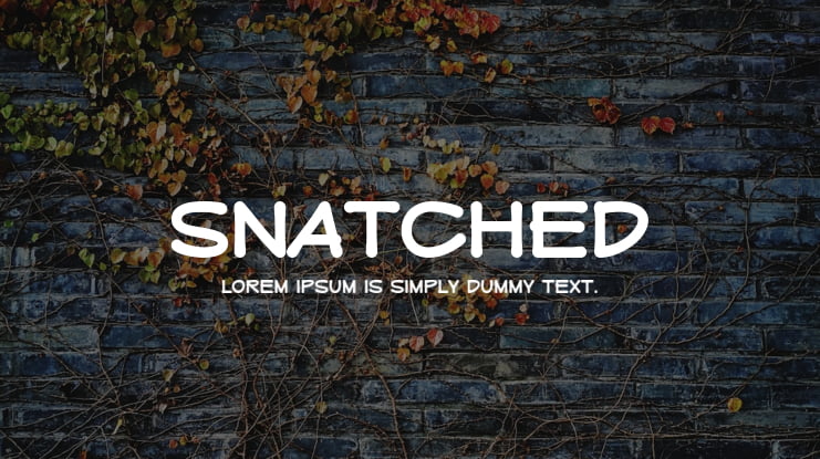 Snatched Font