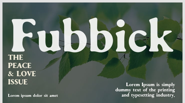 Fubbick Font Family