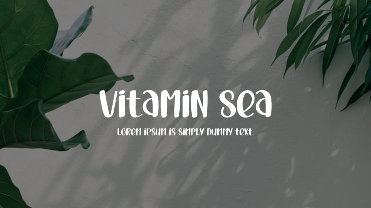 Vitamin Sea Font