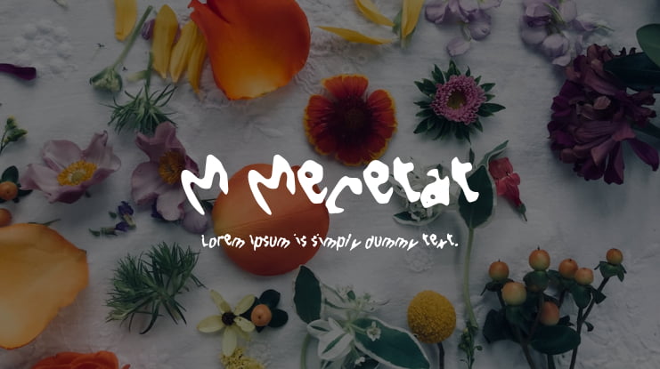 M Mecetat Font