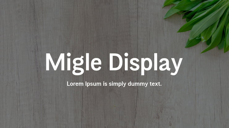 Migle Display Font