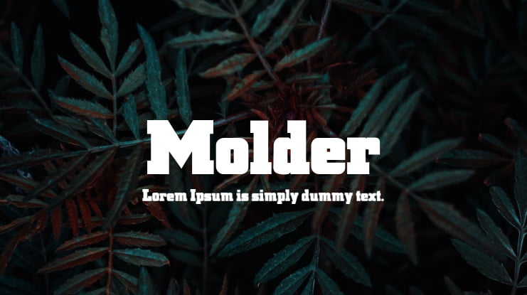 Molder Font