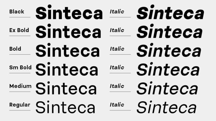 Sinteca Font Family