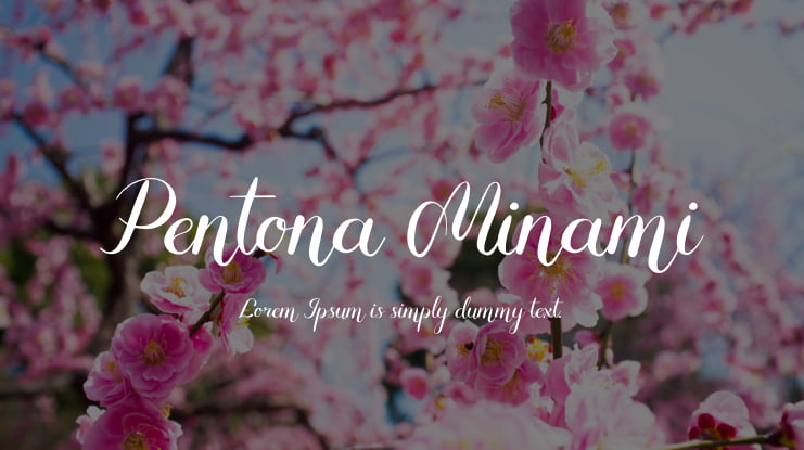 Pentona Minami Font