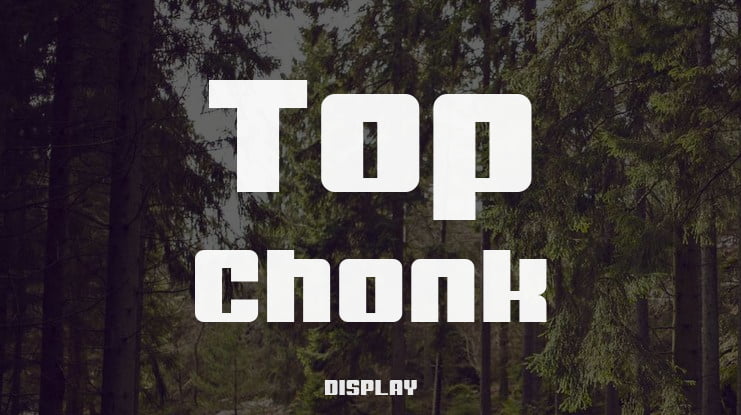 Top Chonk Font