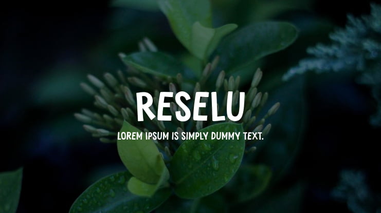 Reselu Font