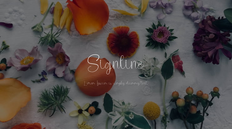 Signline Font