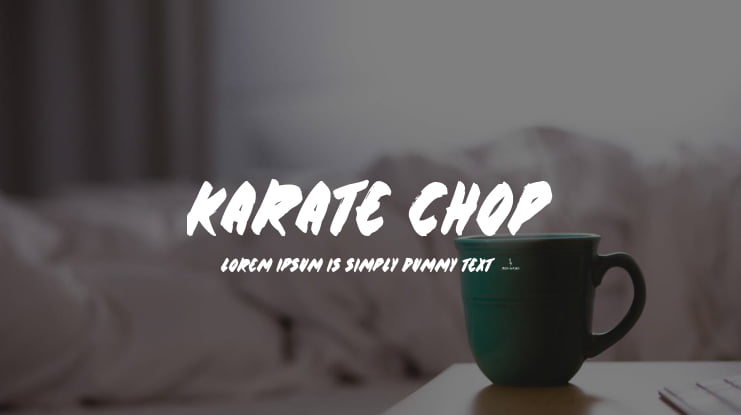 Karate Chop Font