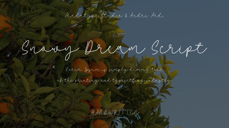 Snowy Dream Script Font