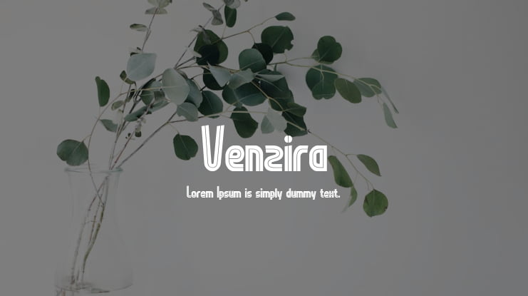 Venzira Font