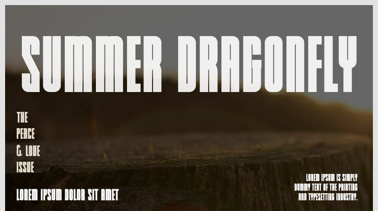 Summer Dragonfly Font