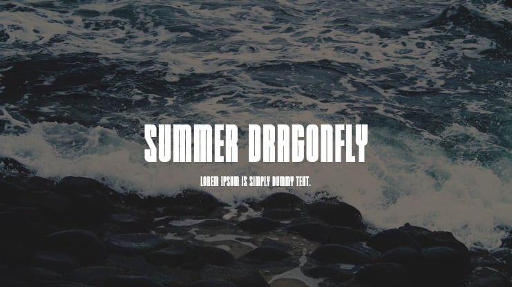 Summer Dragonfly Font