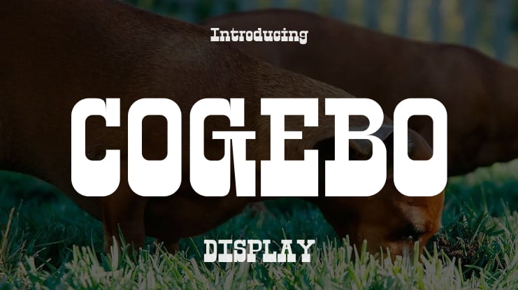 COGEBO Font Family