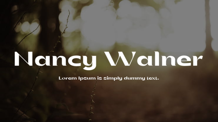 Nancy Walner Font