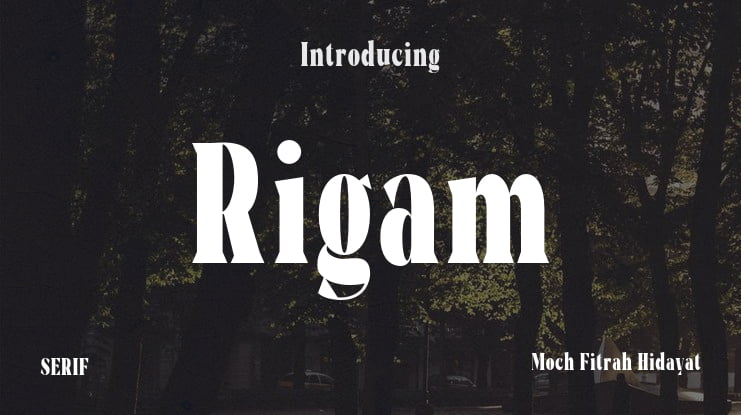 Rigam Font Family