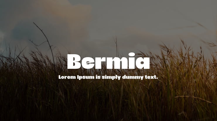 Bermia Font