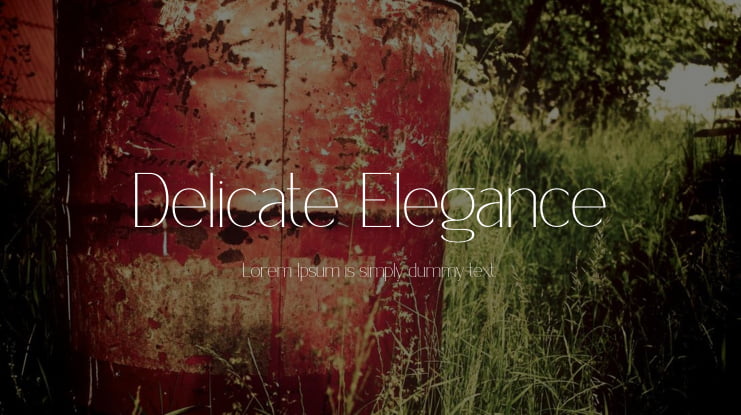 Delicate Elegance Font Family