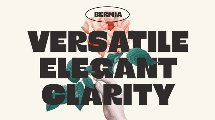 Bermia Display Font