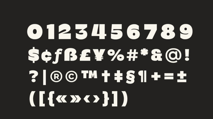 Bermia Display Font