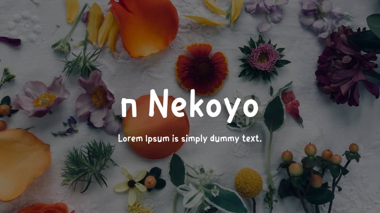 n Nekoyo Font