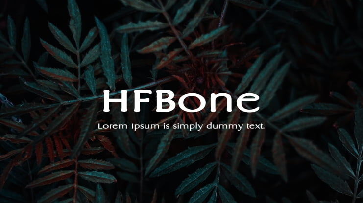 HFBone Font