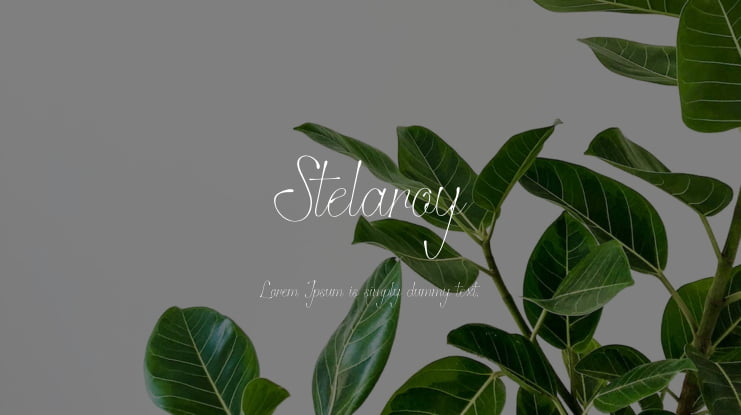 Stelaroy Font