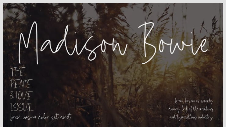 Madison Bowie Font