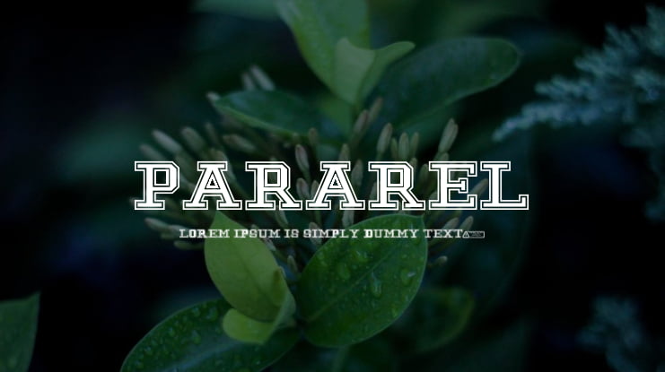 Pararel Font