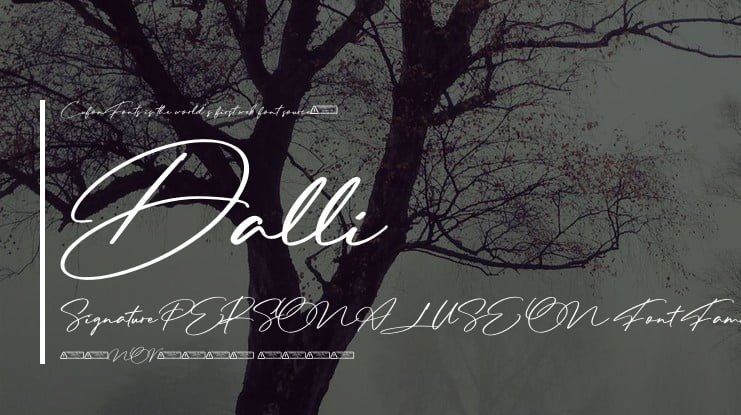 Dalli Signature PERSONAL USE ON Font