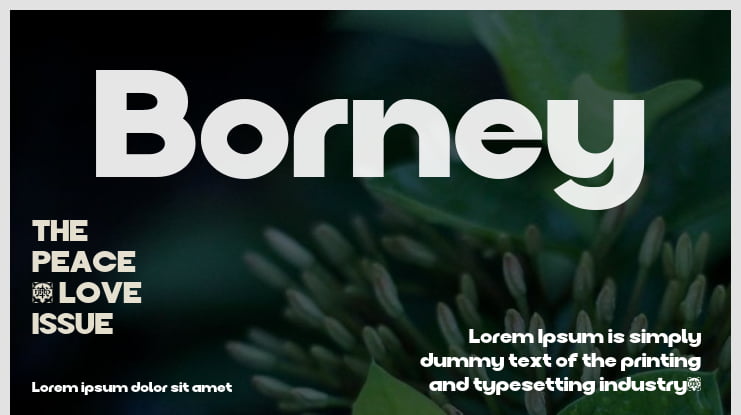 Borney Font