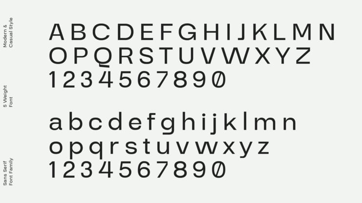 Stara Sans Serif Font