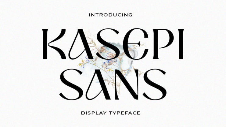 Kasepi Sans  Font