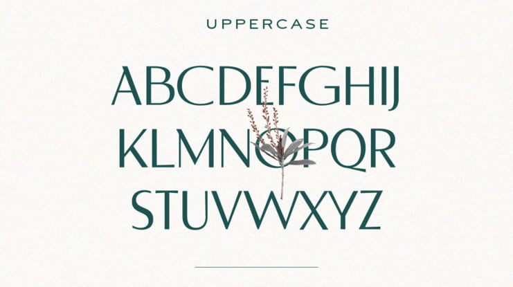 Derose Font