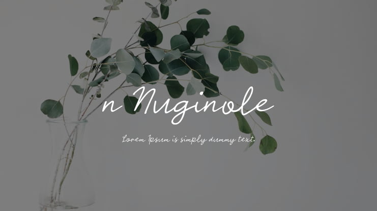 n Nuginole Font