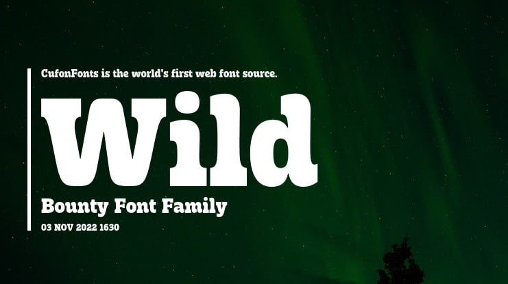 Wild Bounty Font Family