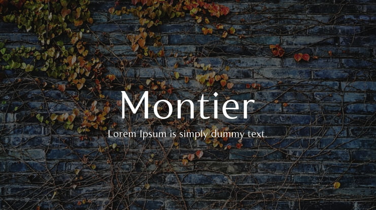 Montier Font Family